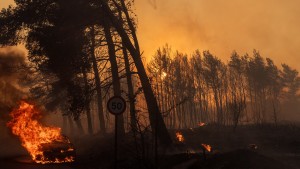 Waldbrände nähern sich Athen