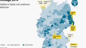 „Fans von Energie Cottbus sind geerdet“ 