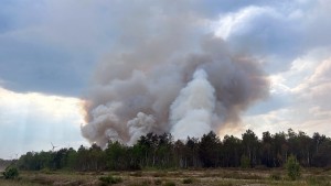 Wind facht Feuer bei Jüterbog wieder an