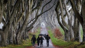 Die „Games of Thrones“-Allee liegt im Sterben