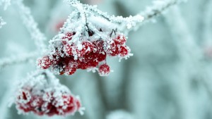 Das Wochenende wird weiß und glatt