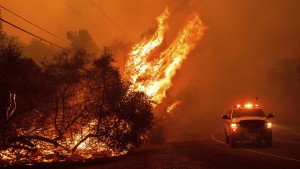 Tausende Menschen fliehen vor Waldbränden