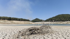 Globale Erwärmung 2024 durchbricht 1,5-Grad-Marke