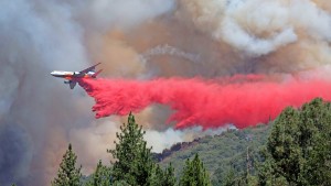 In Kalifornien breitet sich das Oak Fire rasend schnell aus