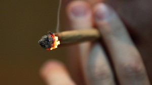 Kalifornien stimmt für Marihuana-Legalisierung