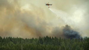 Verheerende Feuerwalze