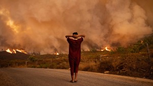 Staaten unternehmen viel zu wenig bei Klimaanpassung