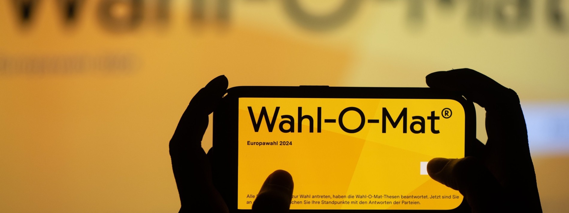 Wahl-O-Mat geht am 6. Februar online