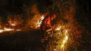 Brasilien registriert Rekordwaldbrände