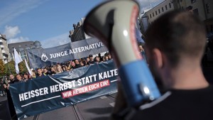 Nur einen Teil der AfD verbieten?