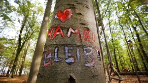 Protestcamp am Hambacher Forst muss geräumt werden