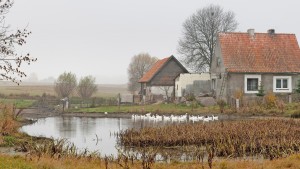 Im Land der dunklen Wälder und kristallenen Seen