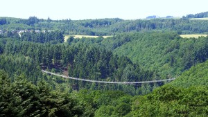 Keine Geier über der Geierlay