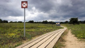 Naturschutz für den Naturschatz