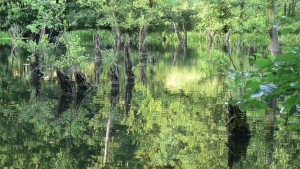 Biotope statt Bergbau im Spessart