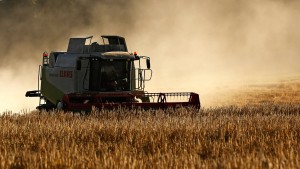 Hessens Landwirtschaft zieht mehr junge Leute an