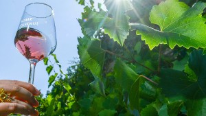 Weinmarkt als Mutmacher