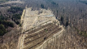 ABO kontert Gerüchte um Windpark Winterstein