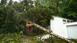 Schäden durch Sturm im Taunus