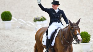 Riesenshow mit großen Tieren