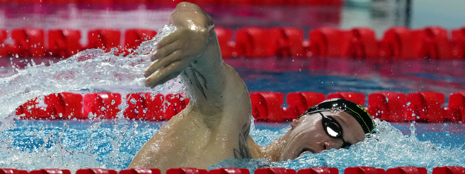 Der Vormittagsschwimmer gewinnt Silber