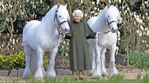 Die Queen und ihre Pferde