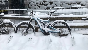 Ski-Bike