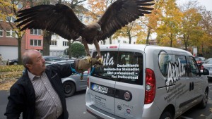 Adler auf der Brust