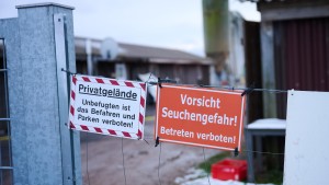 Andere Länder stoppen Viehimporte aus Deutschland