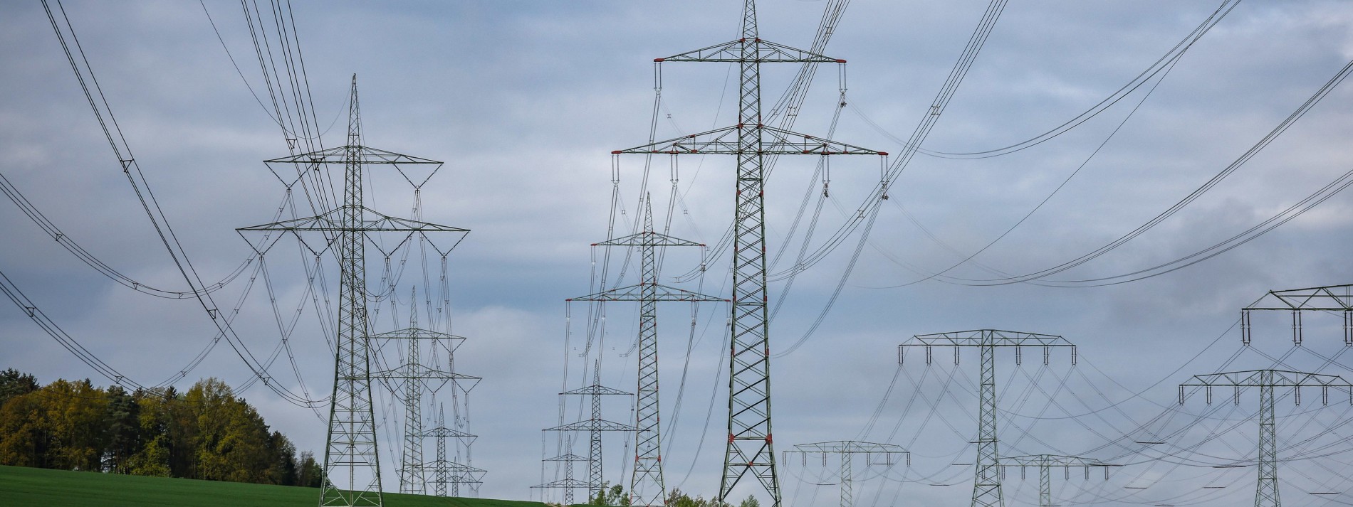 „Die Förderung der Erneuerbaren sollte umgestellt werden“