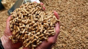 German Pellets findet viele Interessenten