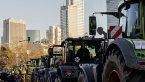 Landwirt: „Stehen mit dem Rücken an der Wand“