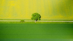 „Wir befinden uns mitten in einem Albtraum“