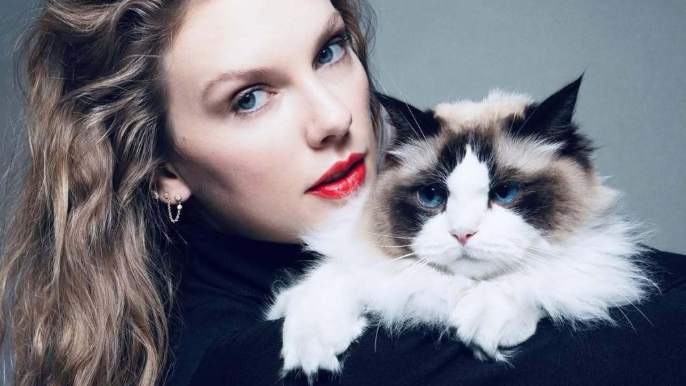 Die berühmteste Childless Cat Lady überhaupt: Popstar Taylor Swift