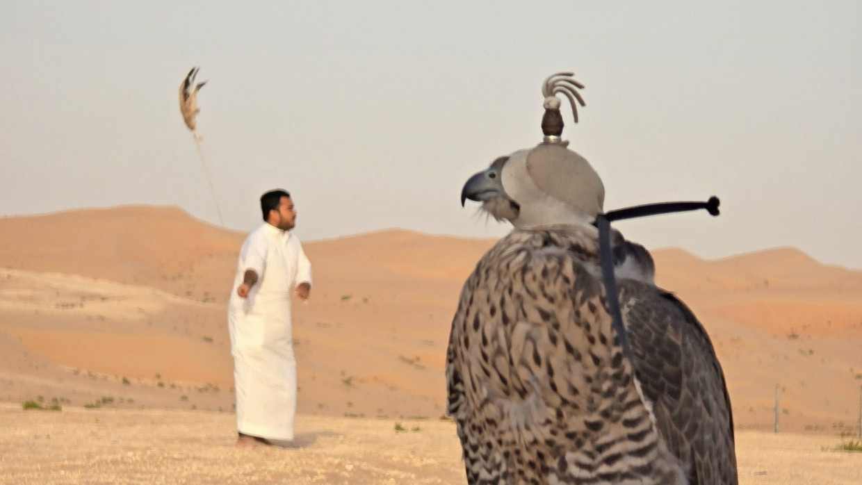 Archaisches  Freizeitvergnügen: Die Falkenjagd ist populär wie eh und je.