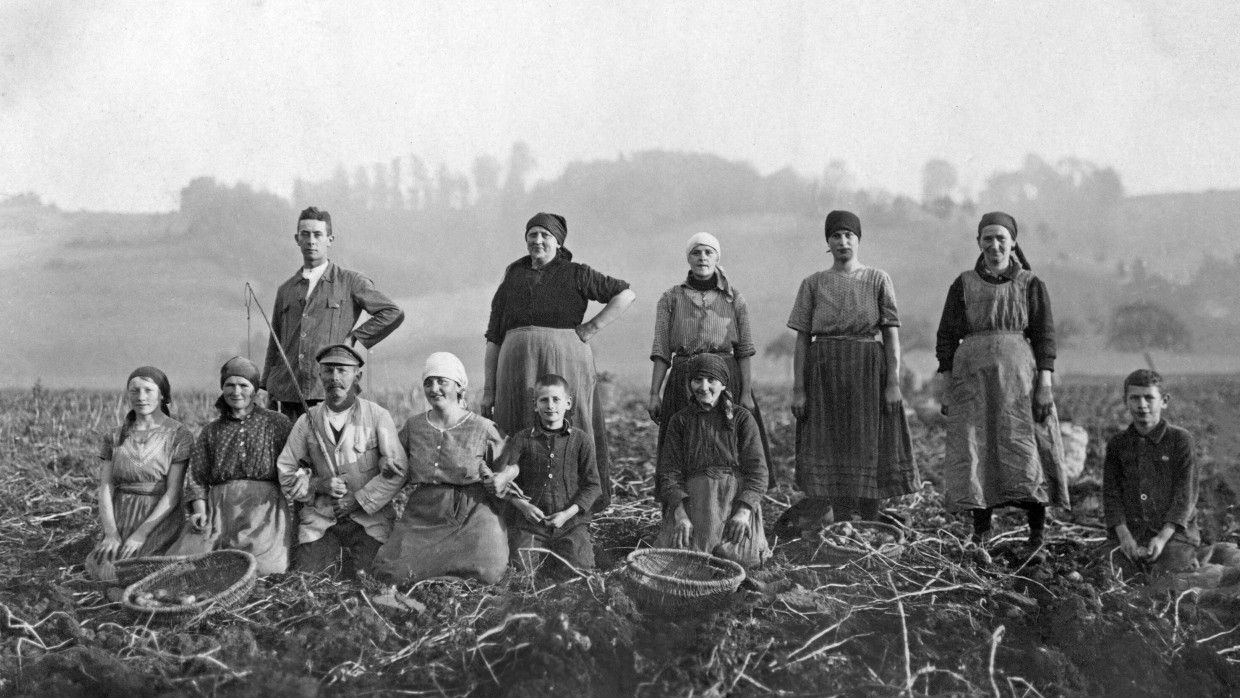 Frauen und Jungen während der Kartoffelernte in den zwanziger Jahren.