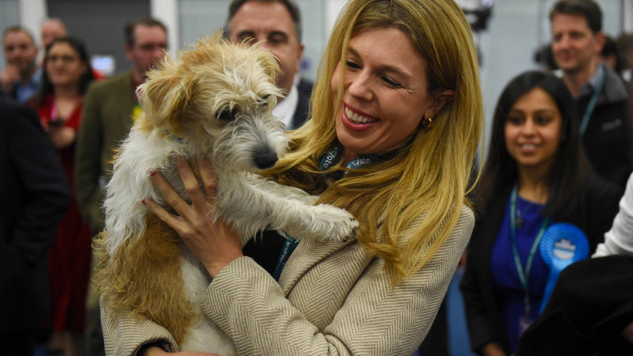 Kritiker sind der Ansicht, dass Boris Johnson sich vor allem wegen persönlicher Ansichten seiner Verlobten Carrie Symonds für Tierrechte stark mache.