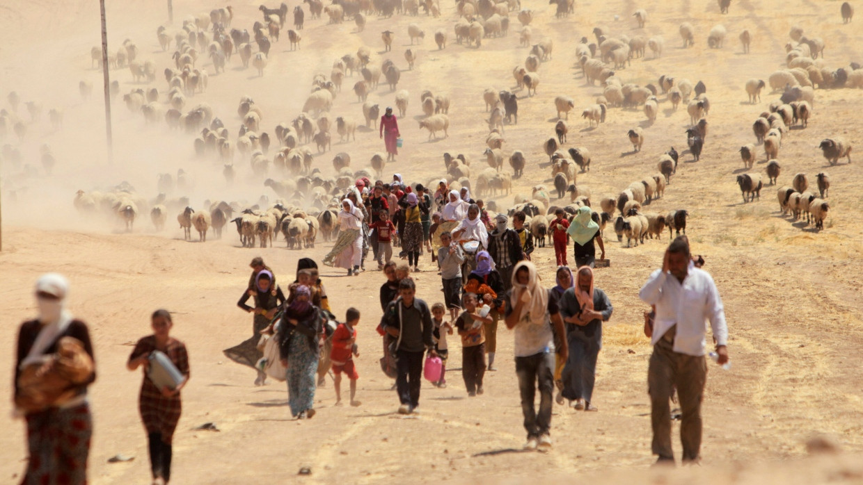 10. August 2014, Shingal an der syrischen Grenze: Jesidische Familien fliehen vor dem IS.