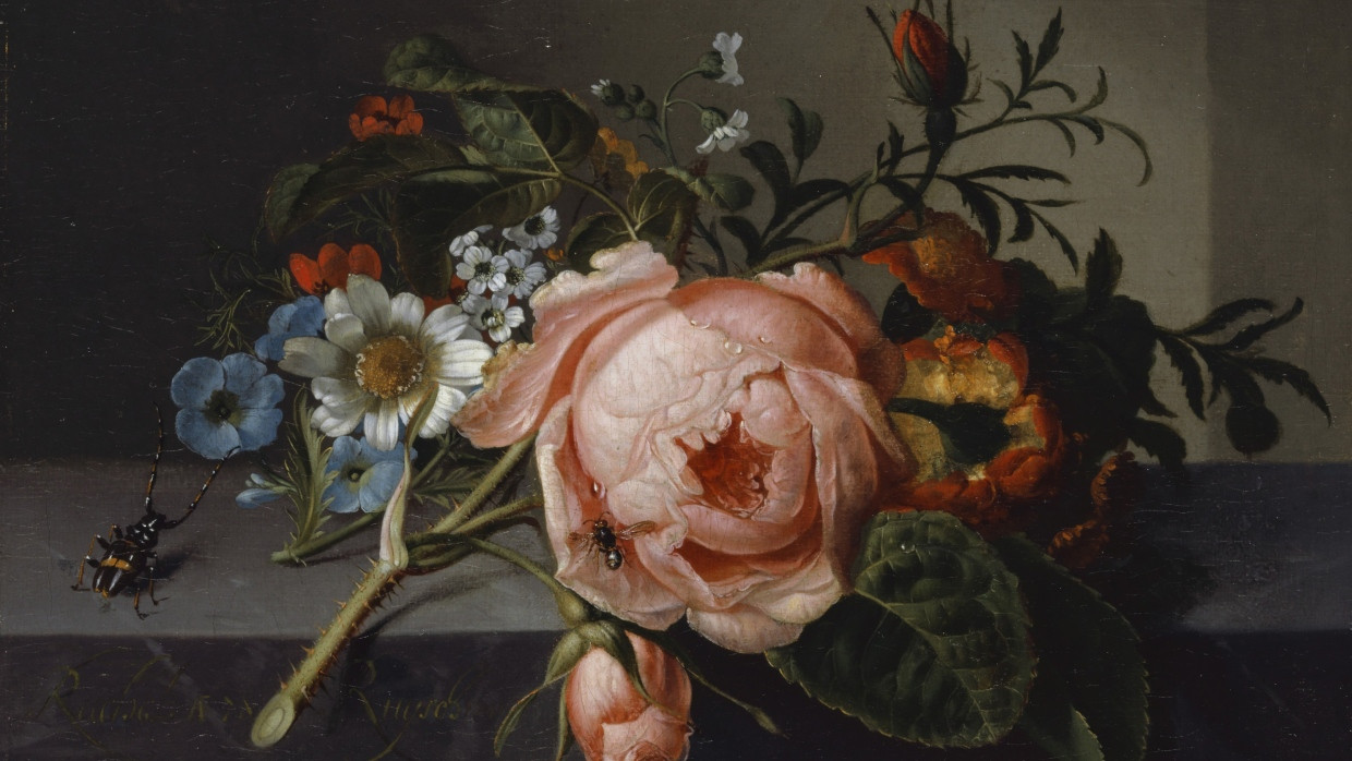 Geordnete Natur: Rachel Ruyschs „Stilleben mit Rosenzweig, Käfer und Biene“ von 1741