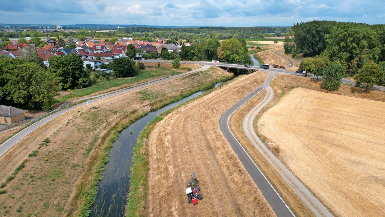 Braun statt Grün: Das Gras des Wattenheimer Deiches ist wegen der Hitze im Juli vollkommen vertrocknet.