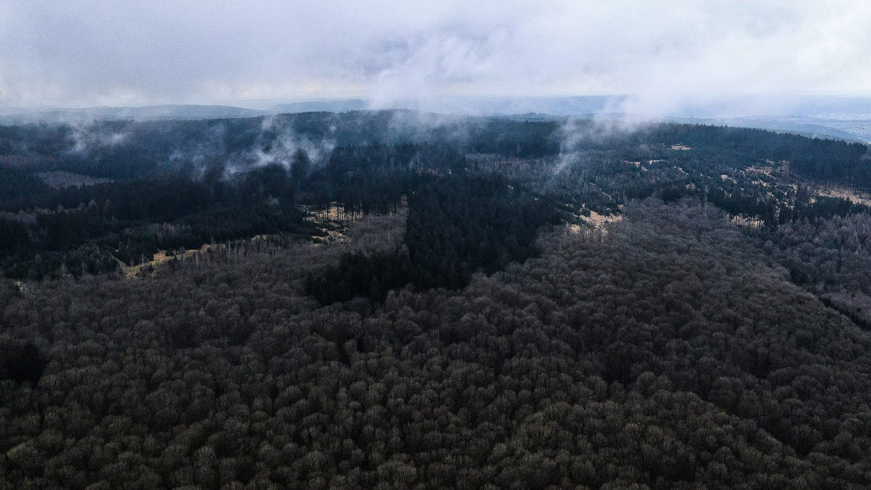 Auf dem Berg „Horst“ im Spessart war ein Windpark vorgesehen: Einige Bürger und Politiker aus der Kurstadt Bad Orb wollen das verhindern.