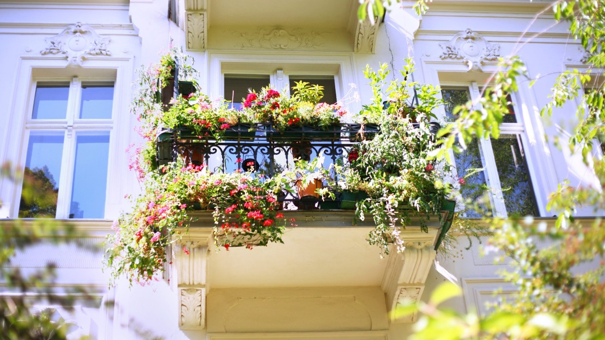 Ein Balkon als Bienenweide.