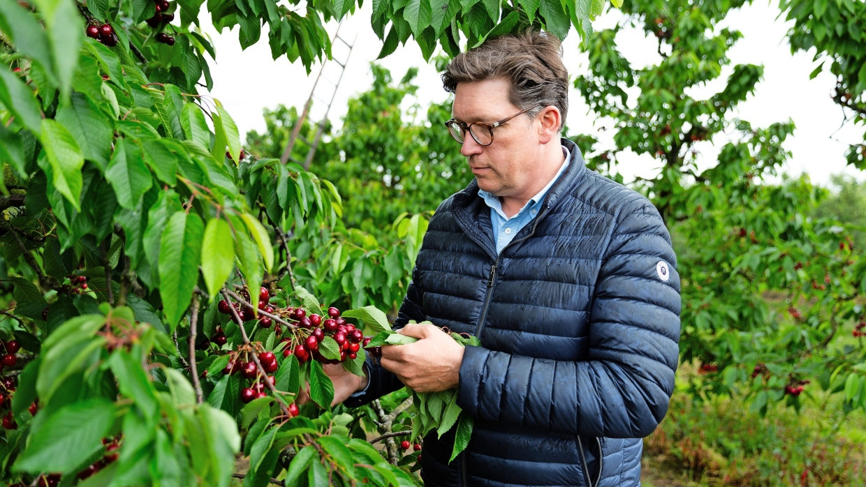 Obstbauer Henning Ramdohr Ende Mai in Hollern-Twielenfleth