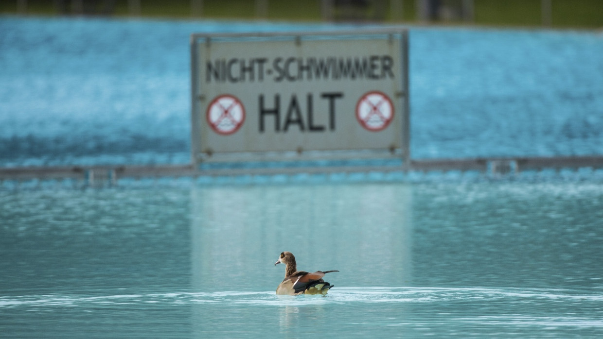 Kann die KI auf Ertrinkende aufmerksam machen? Schlechtere Schimmer könnten dadurch gerettet werden.