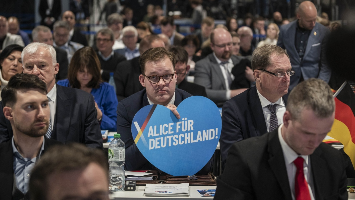 Auf ihrem Parteitag in Riesa setzt die AfD auf radikale Lösungen.