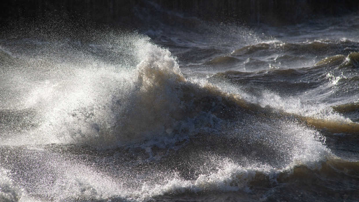 Starke Westwinde können frisches Salzwasser in die Ostsee pressen.