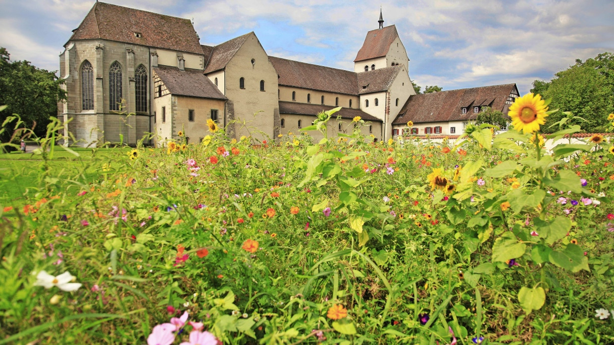 Strenge Architektur, wilde Natur: das Kloster Mittelzell auf der Insel Reichenau mit seinem blühenden Garten.