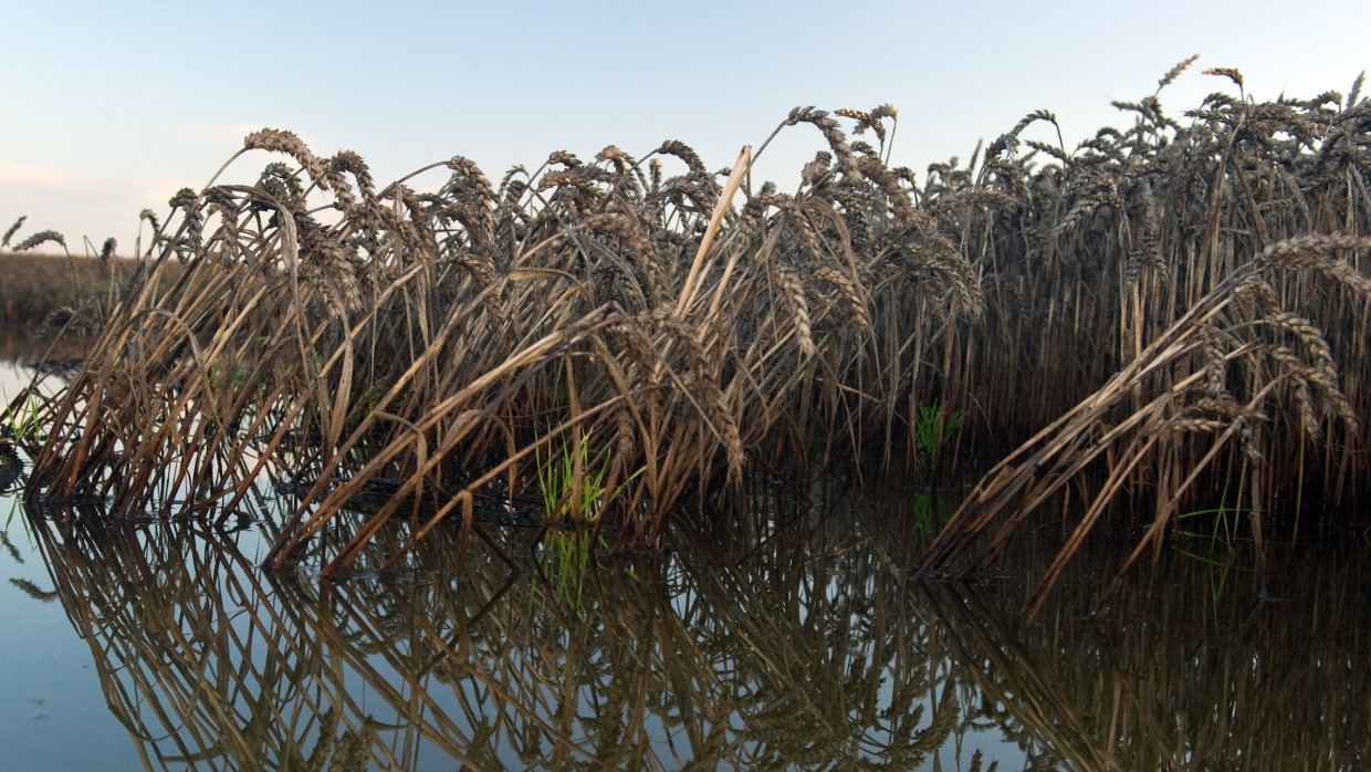 Nach den Unwettern im Südwesten Deutschlands stehen vielerorts Felder unter Wasser.