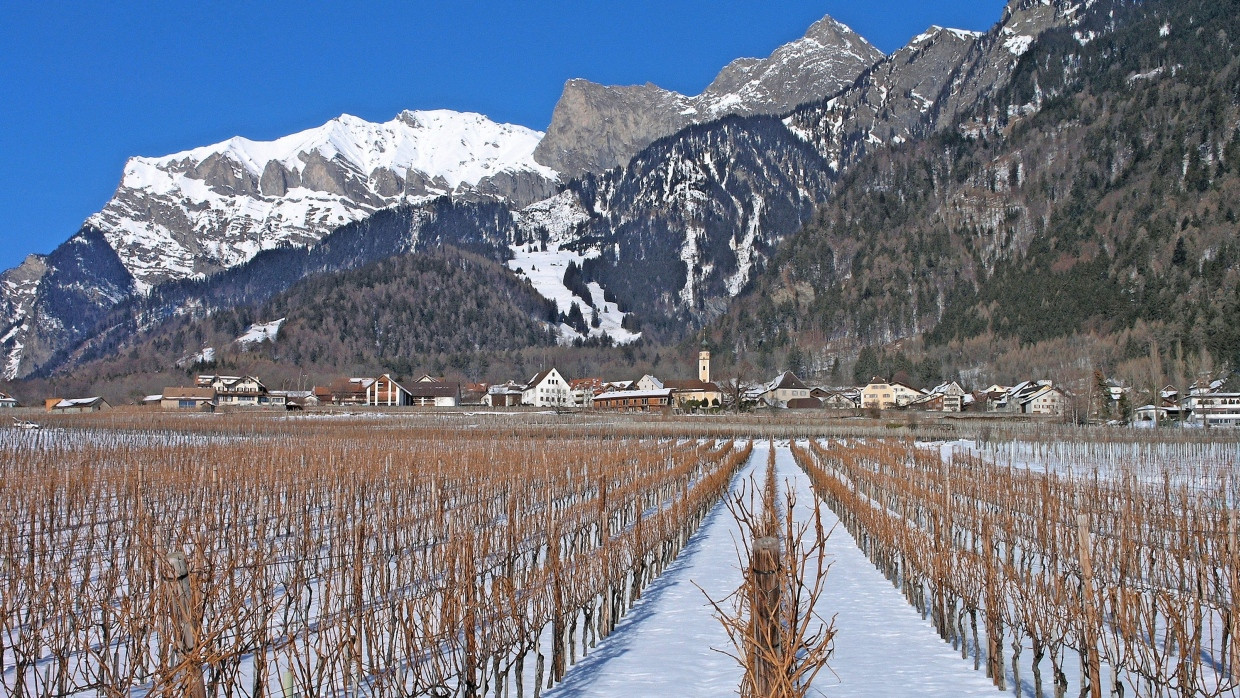 Das Burgund der Schweiz:  So nennt sich die Bündner  Herrschaft gerne, die zu den  kleinsten und feinsten Weinbaugebieten der Eidgenossenschaft gehört.