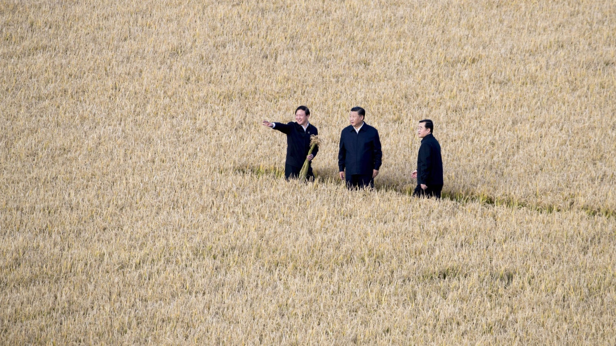 Xi Jinping (Mitte) im September 2018 auf einer Farm in Jiansanjiang